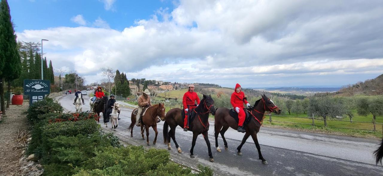 Tenuta Colombaio Casole dʼElsa Dış mekan fotoğraf